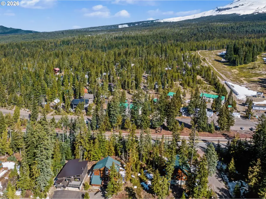 90011 E Morrison Ln #Lot 1, Government Camp, OR 97028 - #2