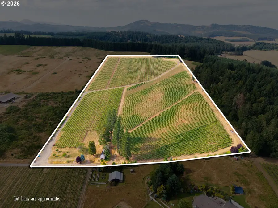 25219 High Pass Rd, Junction City, OR 97448 - #3