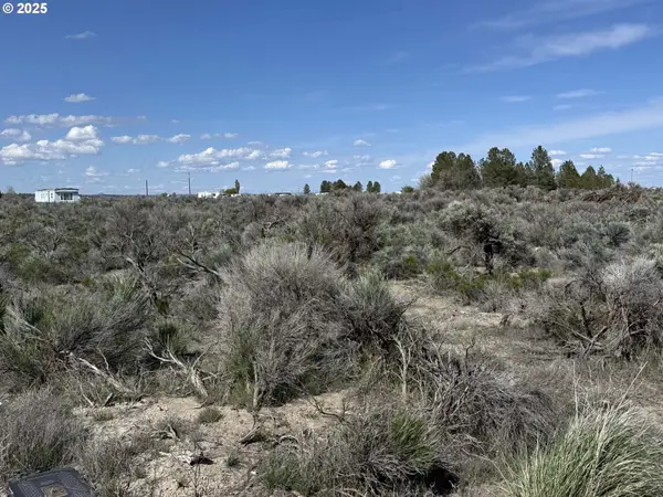 N. Maple Circle #Lot 3, ChristmasValley, OR 97641