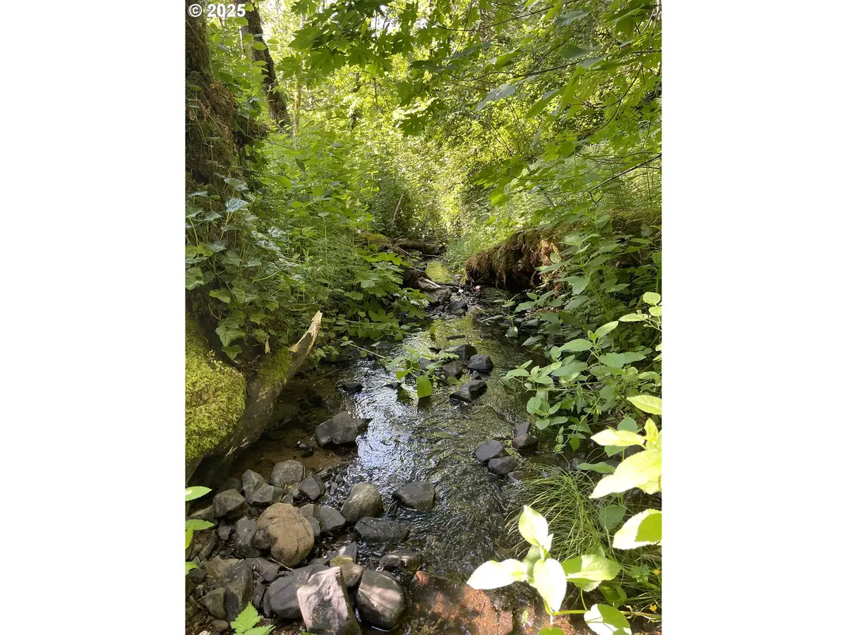 Rock Creek Rd, Willamina, OR 97396 - Image #1