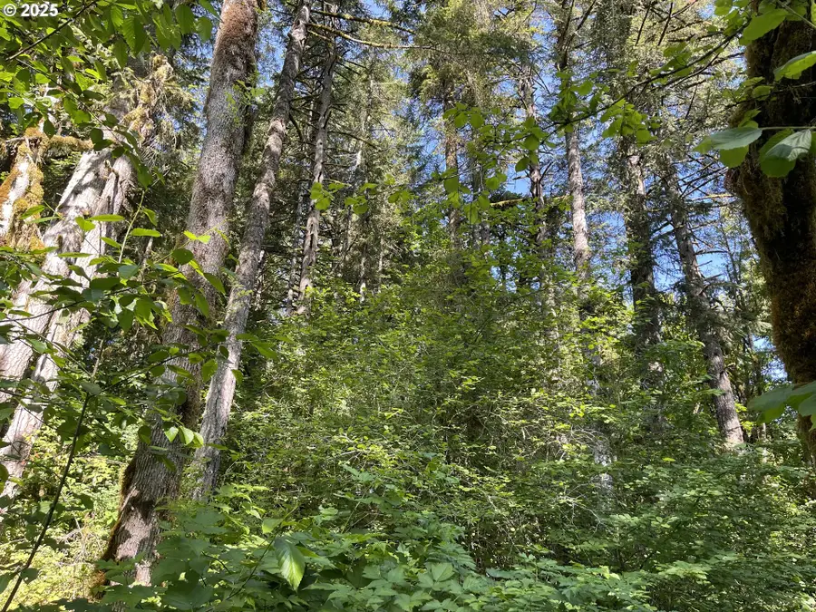 Rock Creek Rd, Willamina, OR 97396 - Image #2