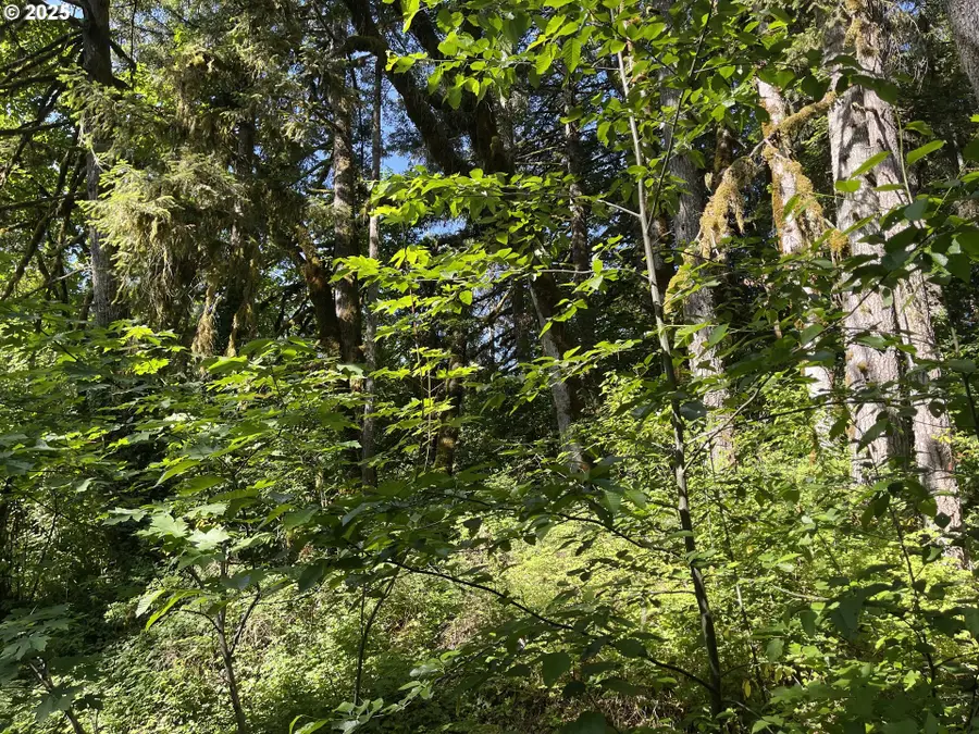 Rock Creek Rd, Willamina, OR 97396 - Image #3