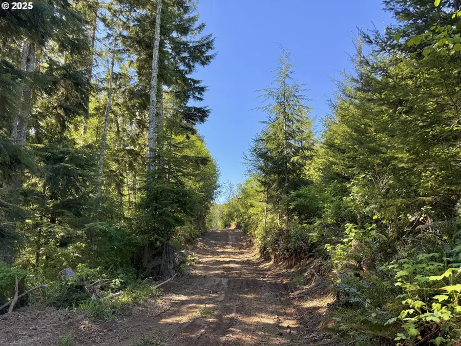72000 Clatskanie Heights Rd, Clatskanie, OR 97016 - #3