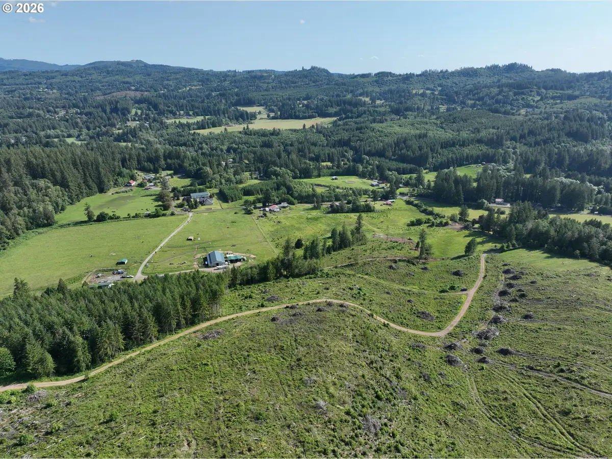 0 NE 206th Ave, Amboy, WA 98601 - #1