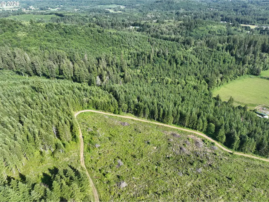 0 NE 206th Ave, Amboy, WA 98601 - #3