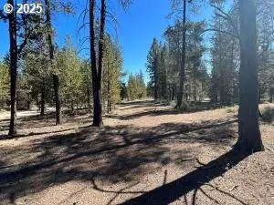 1 Gracies Rd, Gilchrist, OR 97737