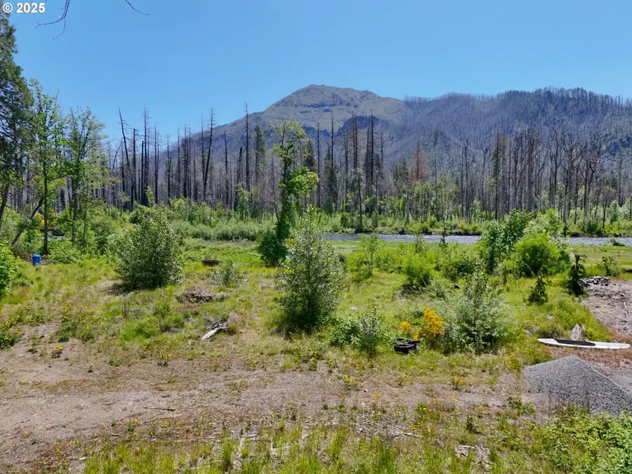 52958 Mckenzie Hwy, McKenzie River, OR 97413 - Image #2