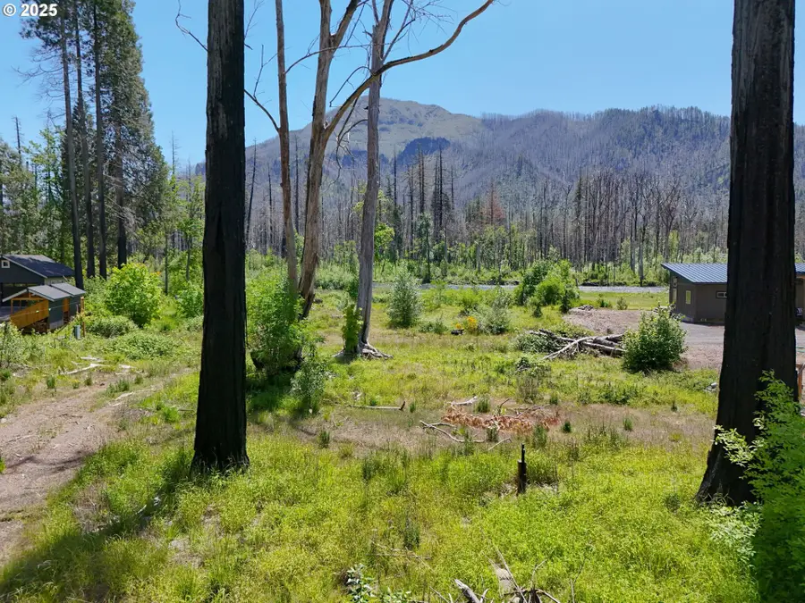 52958 Mckenzie Hwy, McKenzie River, OR 97413 - Image #3