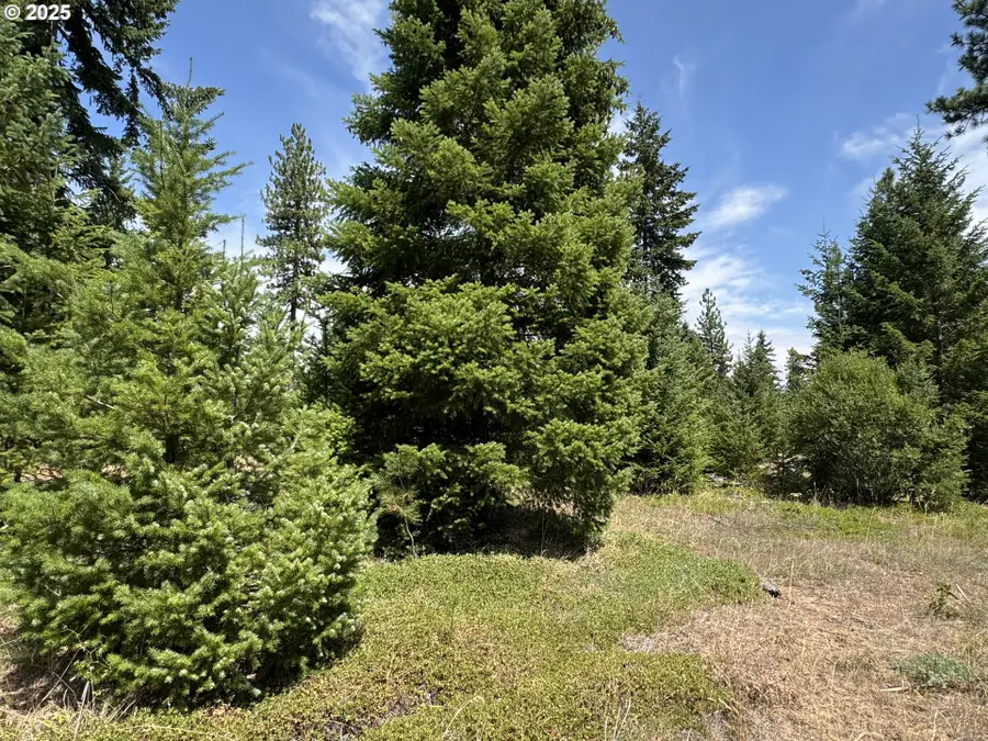 00 Ranger Rd, Goldendale, WA 98620 - Image #2