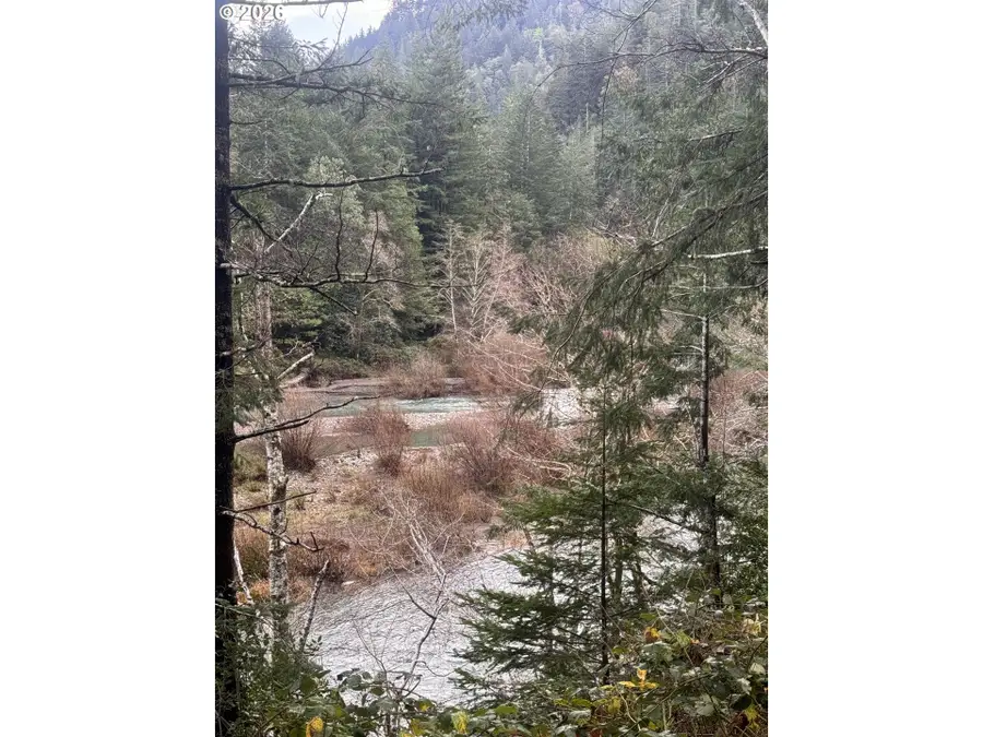 41574 Swinging Bridge Ln, Port Orford, OR 97465 - Image #3