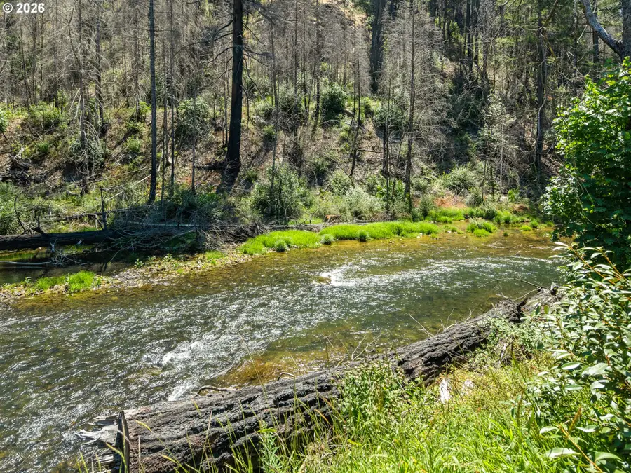 91403 Marbrook Ln, McKenzie River, OR 97413 - #3