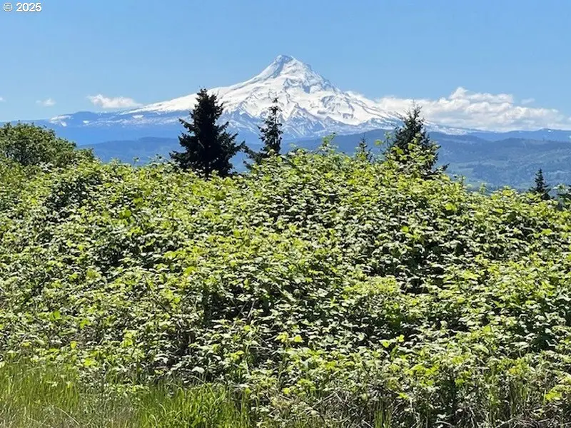 802 W Jewett Blvd, White Salmon, WA 98672 - Image #1