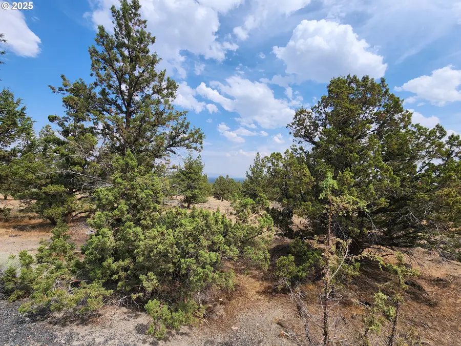 65432 78th St, Bend, OR 97703 - Image #3