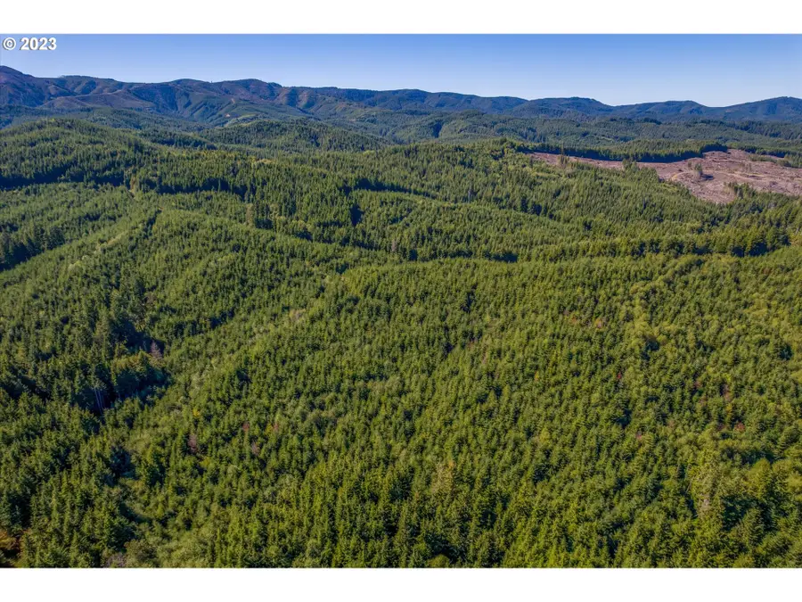 6 Parpala Rd #6, Naselle, WA 98638 - Image #3