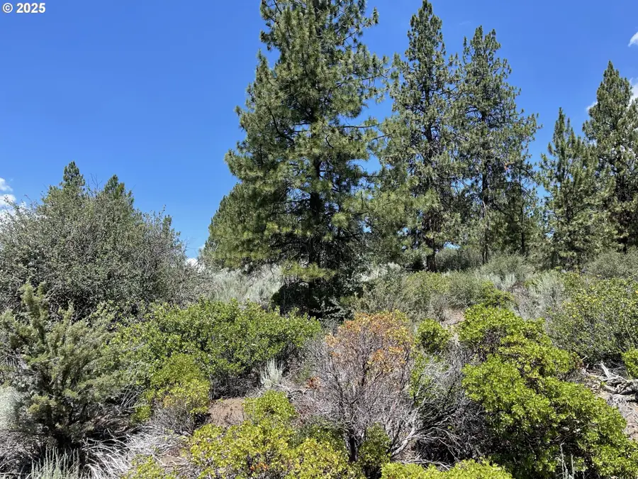 Kna Legget Drive #25, Chiloquin, OR 97624 - #2