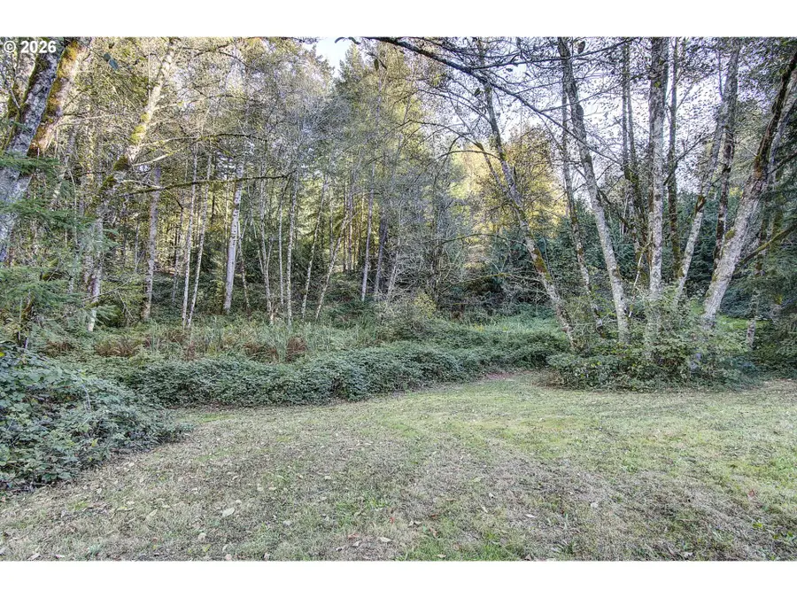 00 NE 142nd Ave, Amboy, WA 98601 - #2