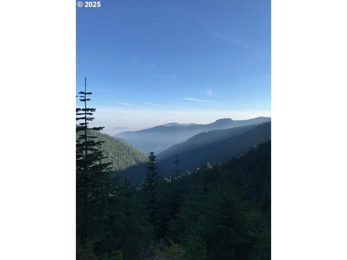 Champion Creek Rd, Dorena, OR 97424 - Image #1