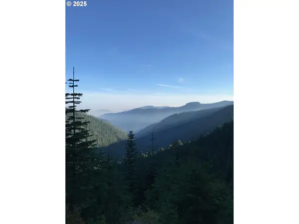 Champion Creek Rd, CottageGrove, OR 97424