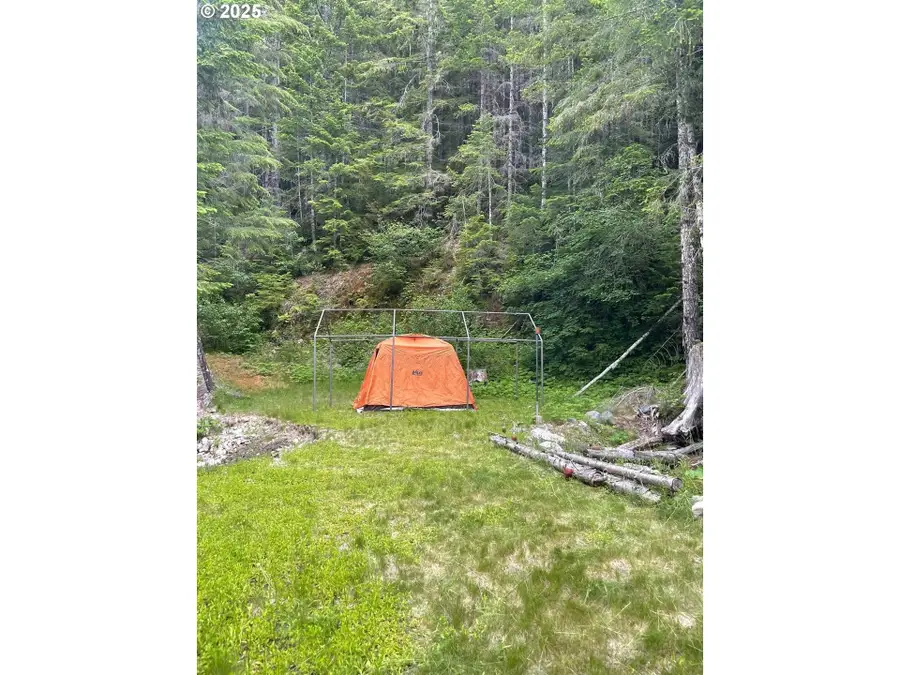 Champion Creek Rd, Dorena, OR 97424 - Image #3