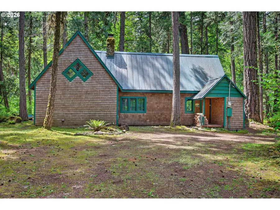 55284 Delta Rd, McKenzie River, OR 97413 - #2