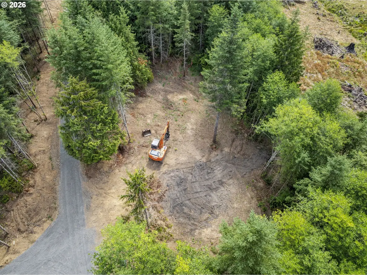 224 Durins Pl, Castle Rock, WA 98611 - #1