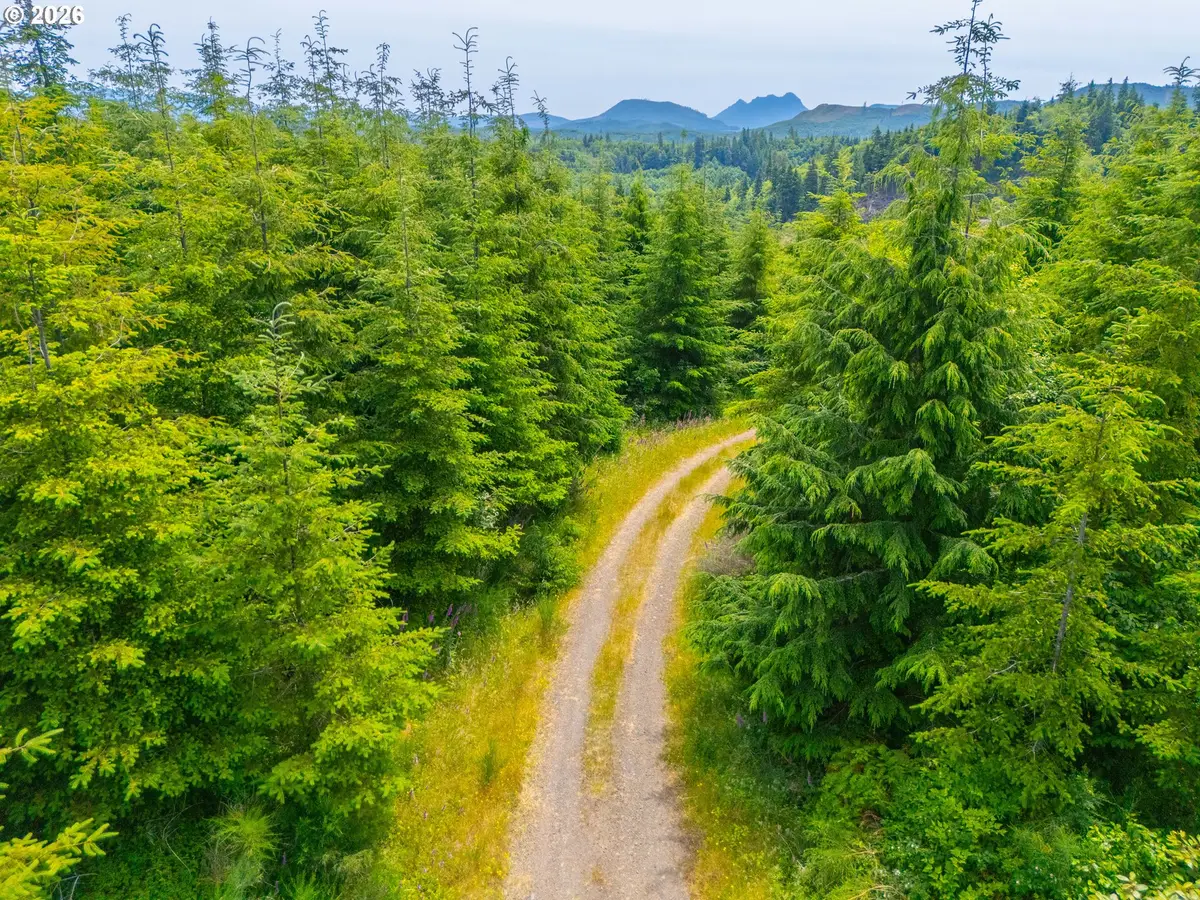 0 Mudd Ln, Astoria, OR 97103 - #1