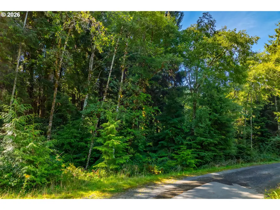 0 Walsh Ln #1100, Arch Cape, OR 97102 - #2