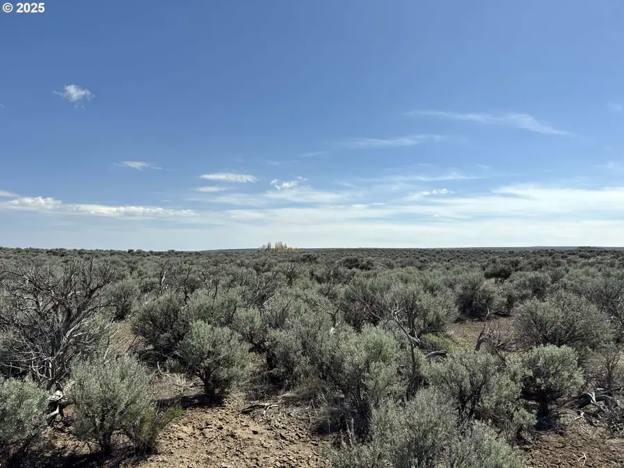 Old Lake Rd #TL 500, Silver Lake Fort Rock, OR 97638 - Image #3