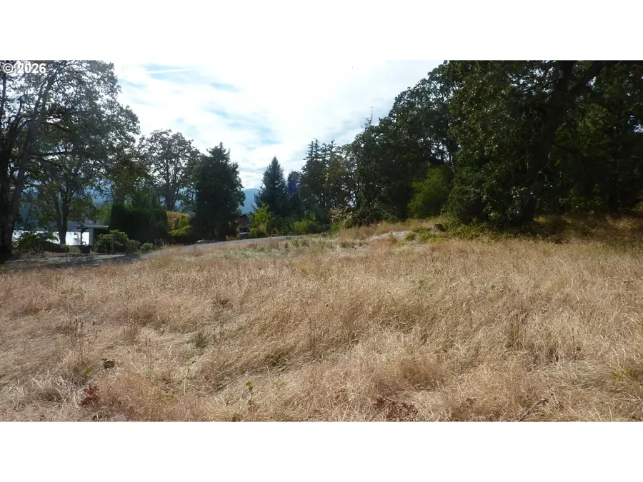 1039 SE Oak St, White Salmon, WA 98672 - #3
