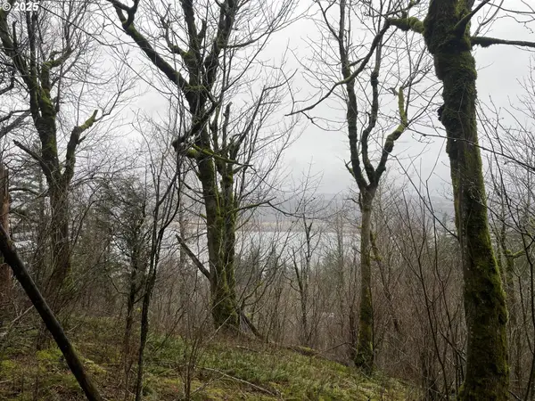 NE Clara Smith Rd, Corbett, OR 97019