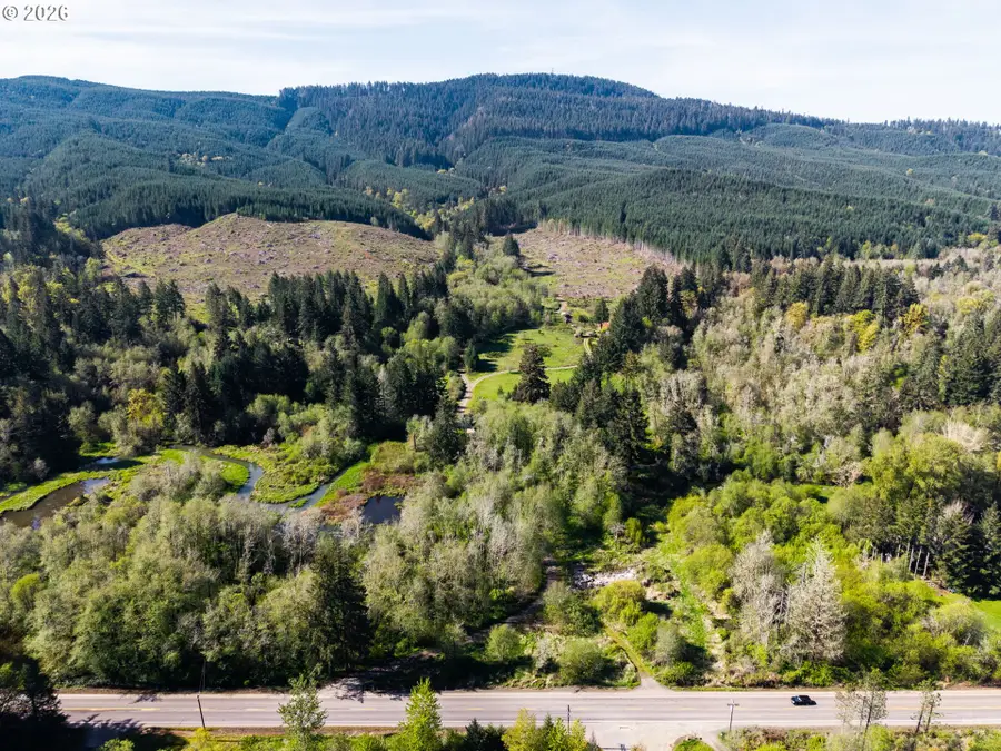 21542 Highway 126, Noti, OR 97461 - #2
