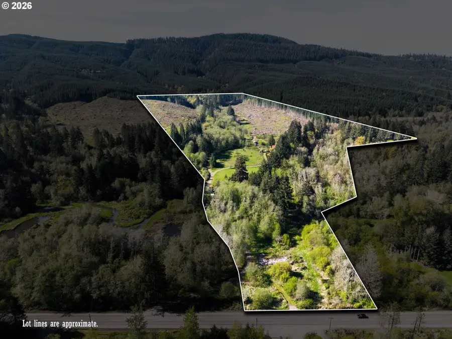 21542 Highway 126, Noti, OR 97461 - #3