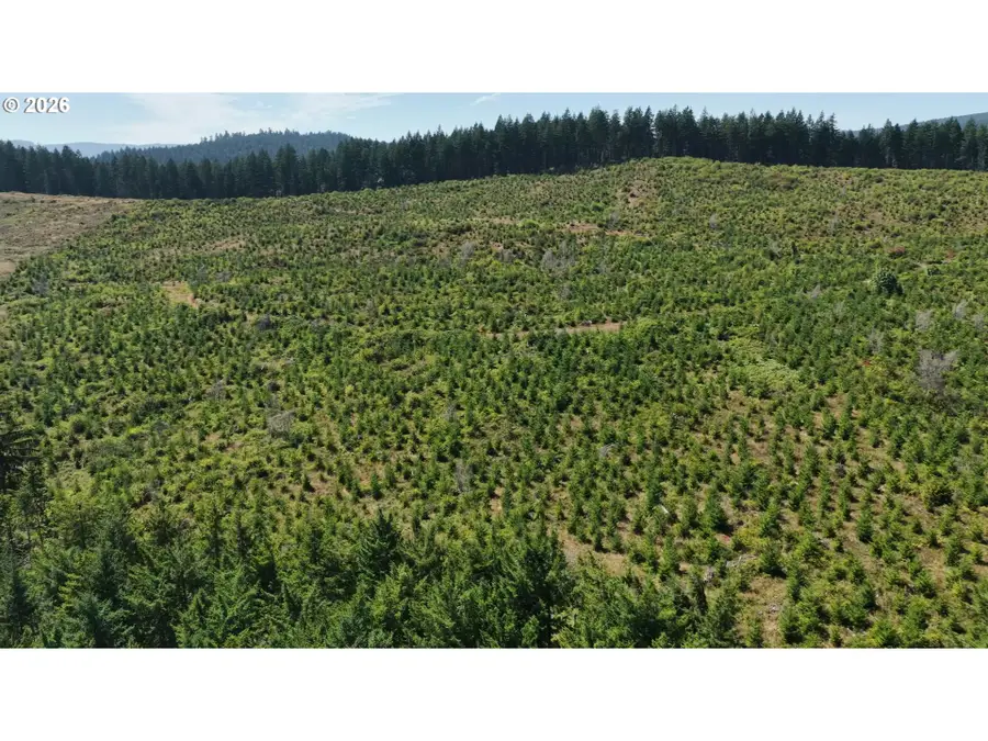 Marcola Rd S, Marcola, OR 97454 - #2