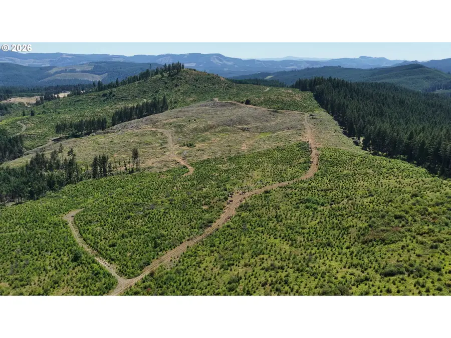 Marcola Rd S, Marcola, OR 97454 - #3