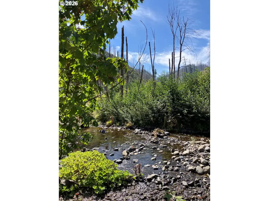 Deer Creek Rd, Marcola, OR 97454 - #2