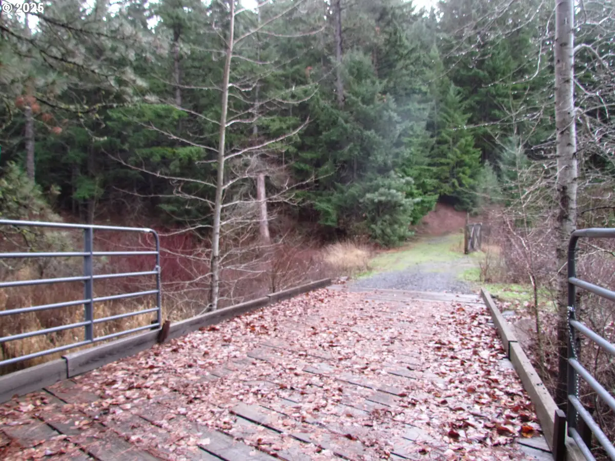 10 Acres Off Acme Rd, Snowden, WA 98672 - Image #1