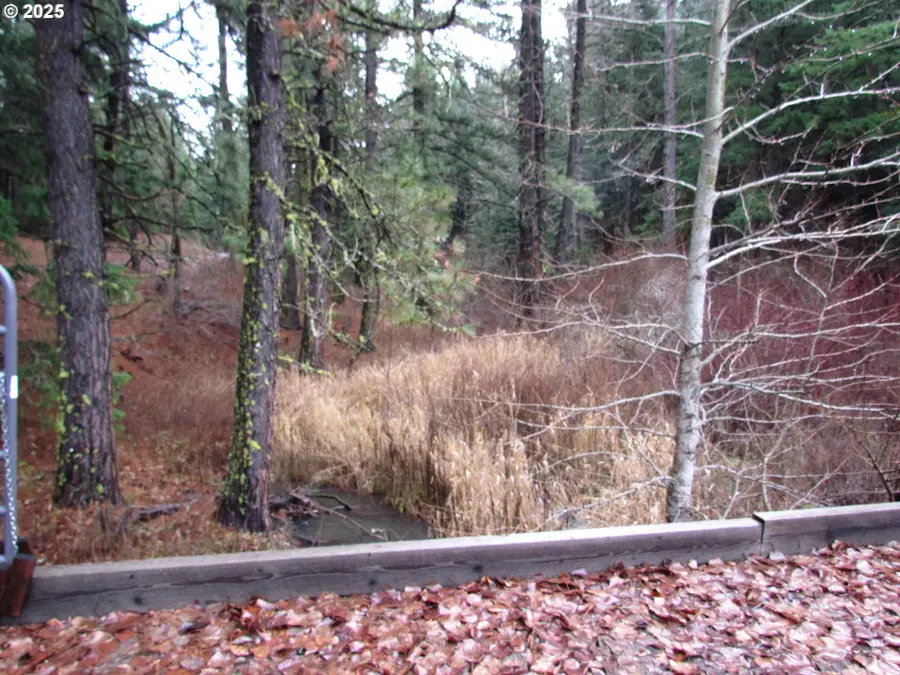 10 Acres Off Acme Rd, Snowden, WA 98672 - Image #3
