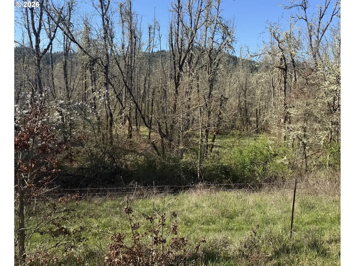 82750 Bear Creek Rd, Creswell, OR 97426 - #1