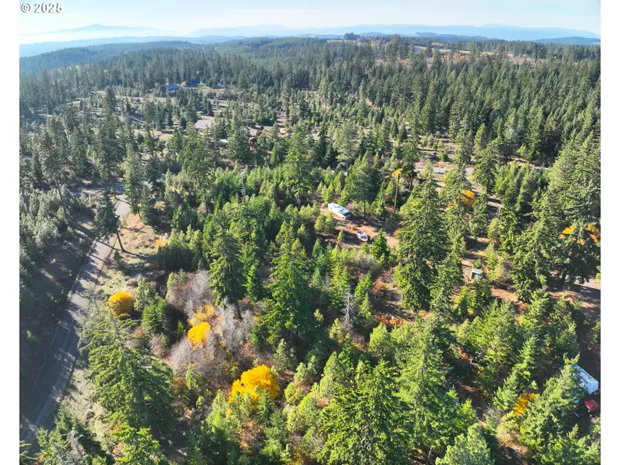 25 Remington Rd, Lyle, WA 98635 - Image #3