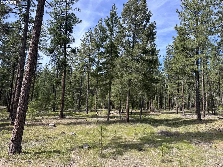 000 Hearthside Ln, Goldendale, WA 98620 - #3