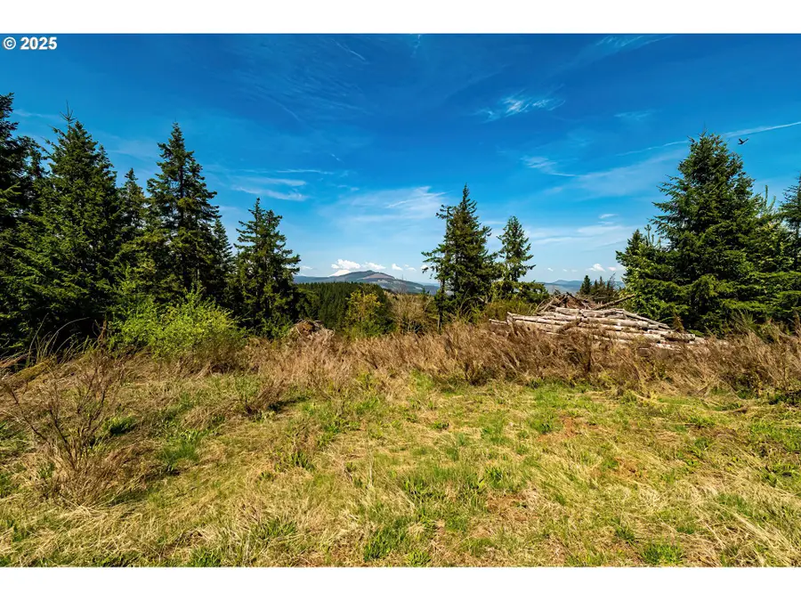 5195 York Hill Dr, Hood River, OR 97031 - #3