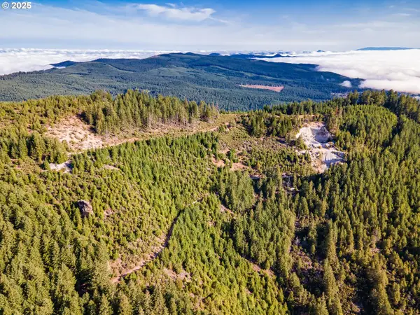 Fireclay Rd, CottageGrove, OR 97424