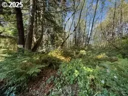 Ocean St, Tillamook, OR 97136 - #2