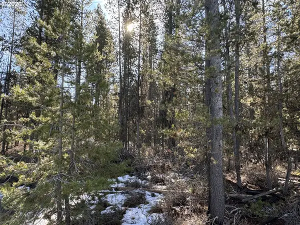 Keyser Circle #29, Chiloquin, OR 97624