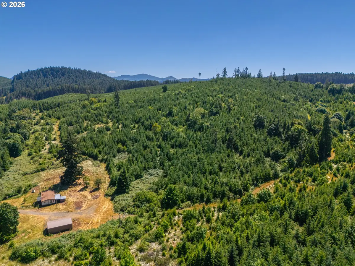 29852 Ingram Rd, Lebanon, OR 97355 - #1