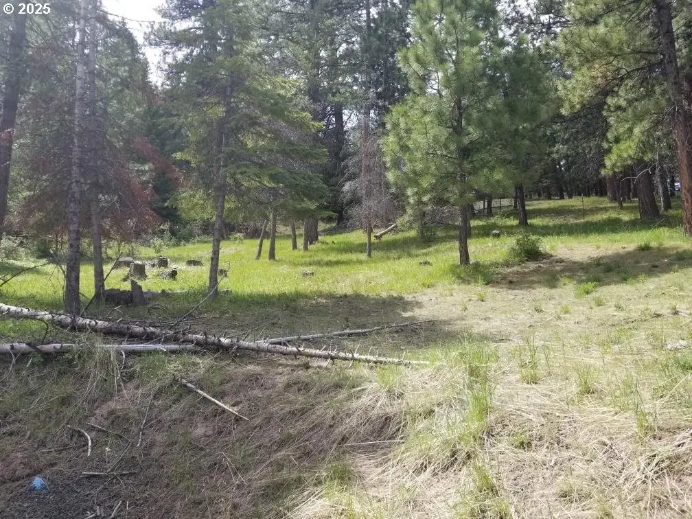 3300 Blake Ranch Lot 33, Heppner, OR 97836 - Image #1