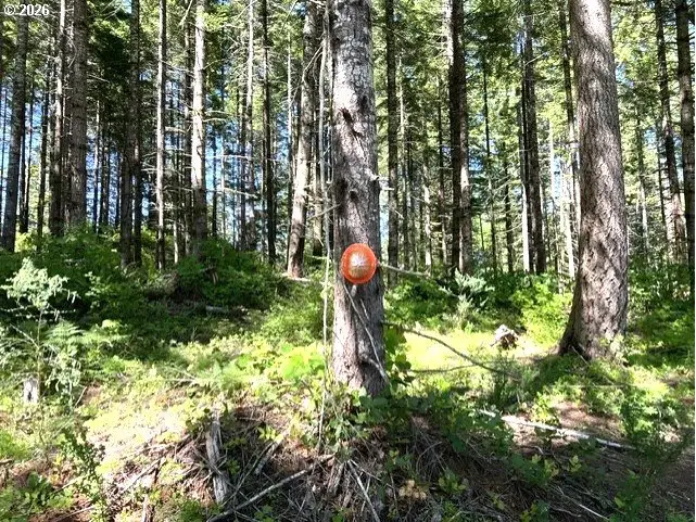 Tunnel Tract Parcel1, Banks, OR 97106 - #1