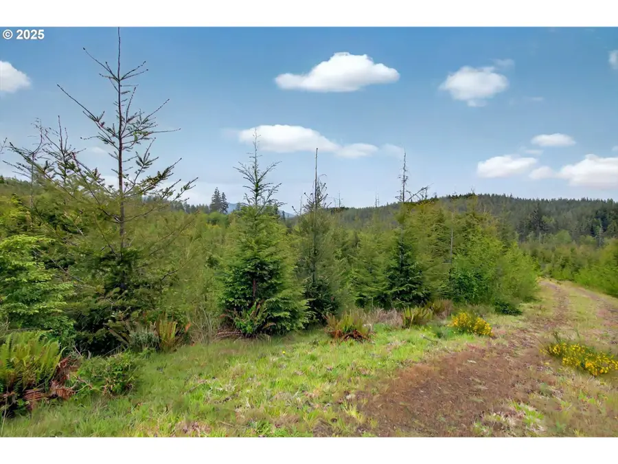 1 Parpala Rd, Naselle, WA 98638 - Image #2