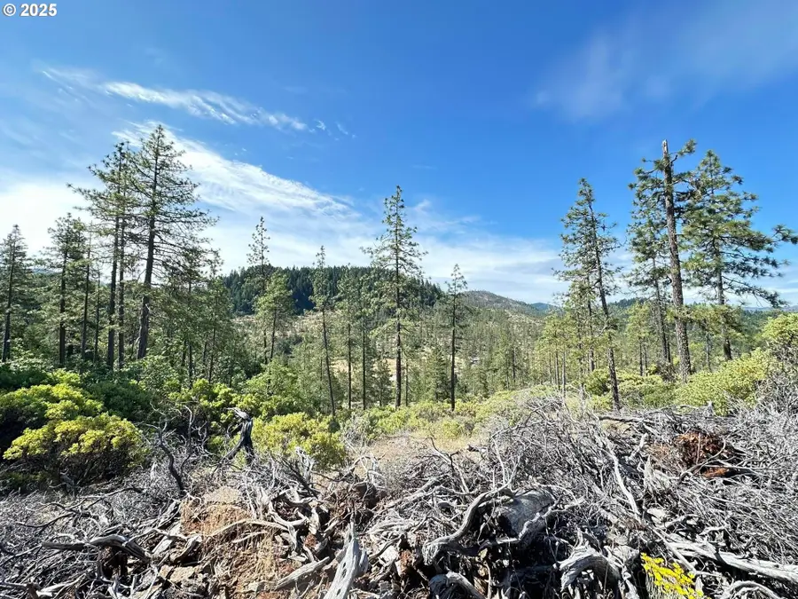 3300 Waldo Rd, Cave Junction, OR 97523 - Image #3