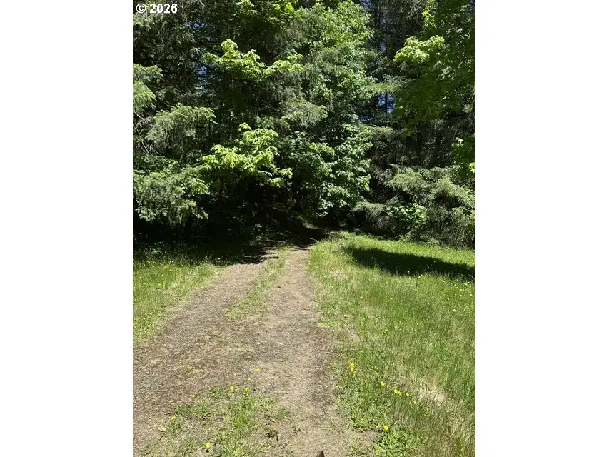 89366 Nelson Mountain Rd, Walton, OR 97490 - #1